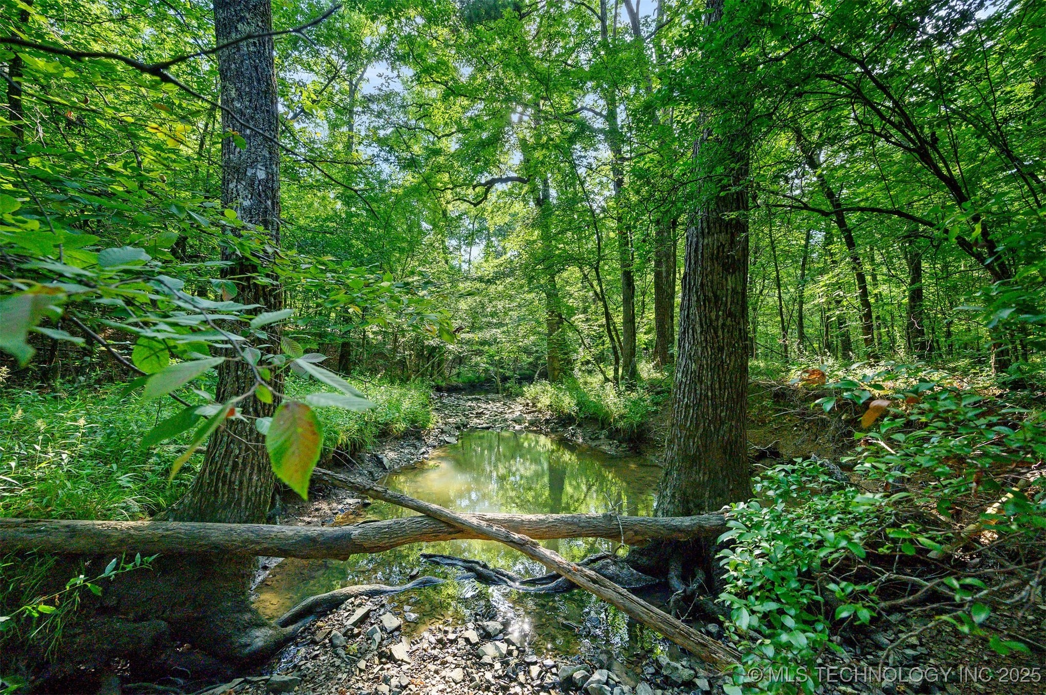 66 Aged Acacia Trail