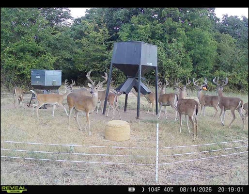 ADDRESS PRIVATE, BURNEYVILLE, OK 73430 - Image 31c1c3bb5b10aafe4a12c5456c003e4e/36028840