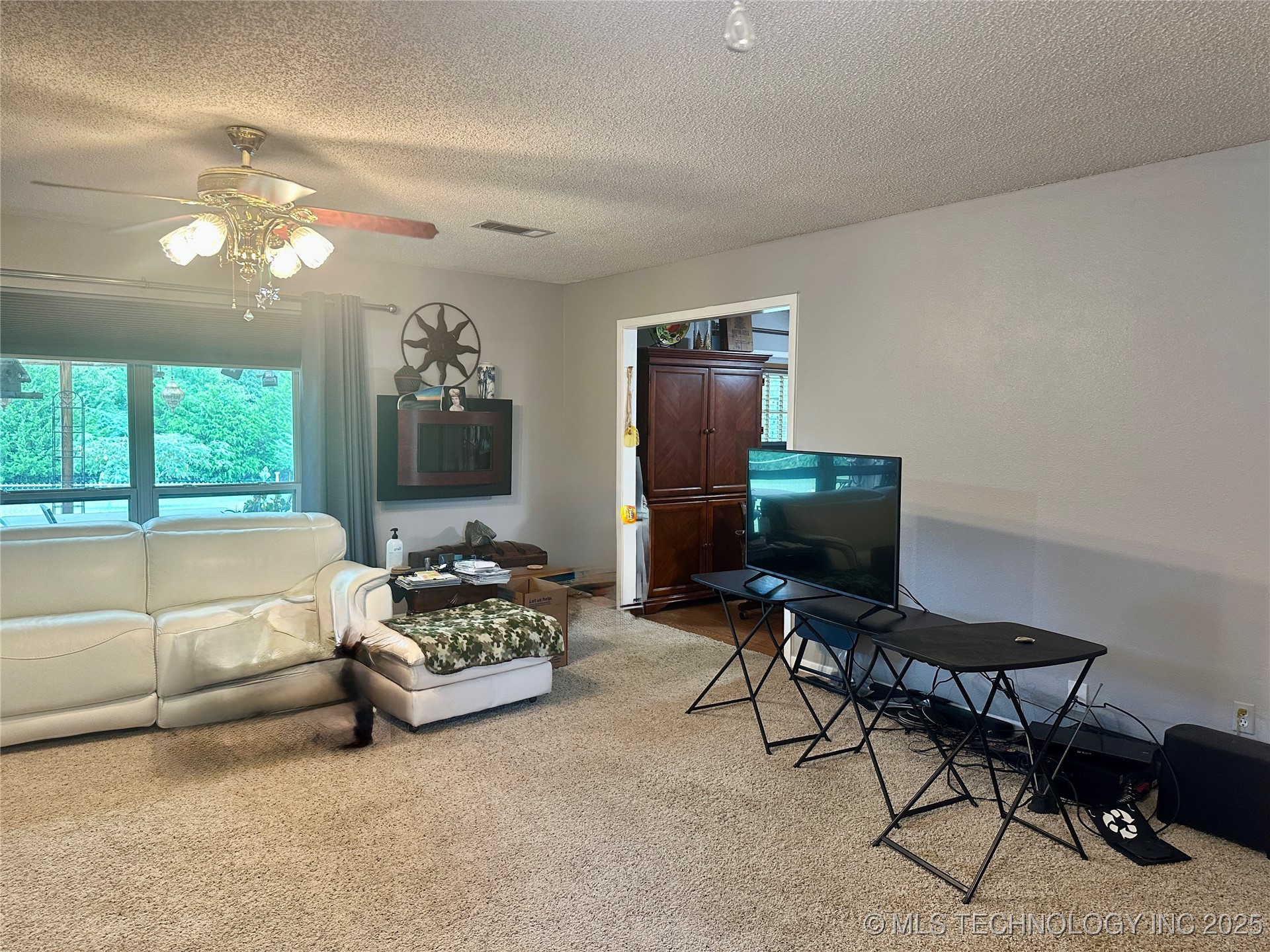 9120 S Horizon Lane