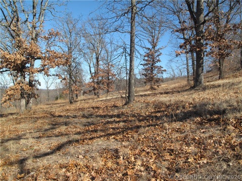 Photo of 23 E Hillside Road, Cookson, OK 74427 (MLS # 2635525)
