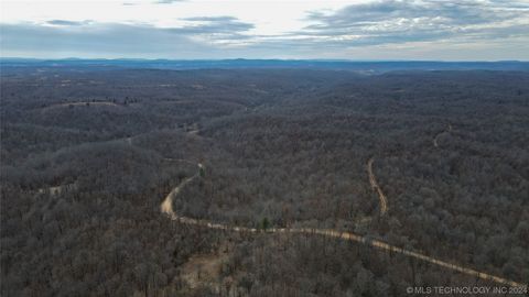  in Westville OK Dennison Hollow Road.jpg