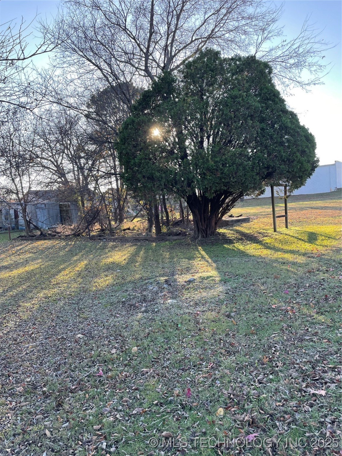 1419 W University Boulevard