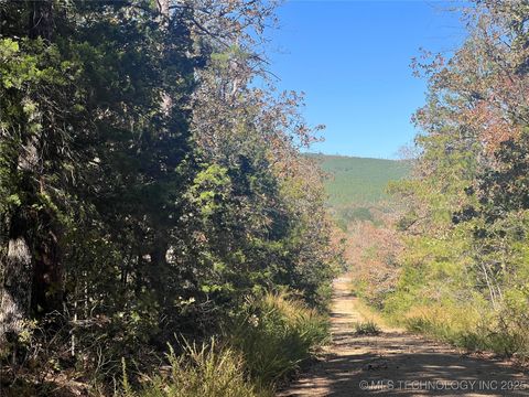 State Hwy 71 Clayton OK 74536