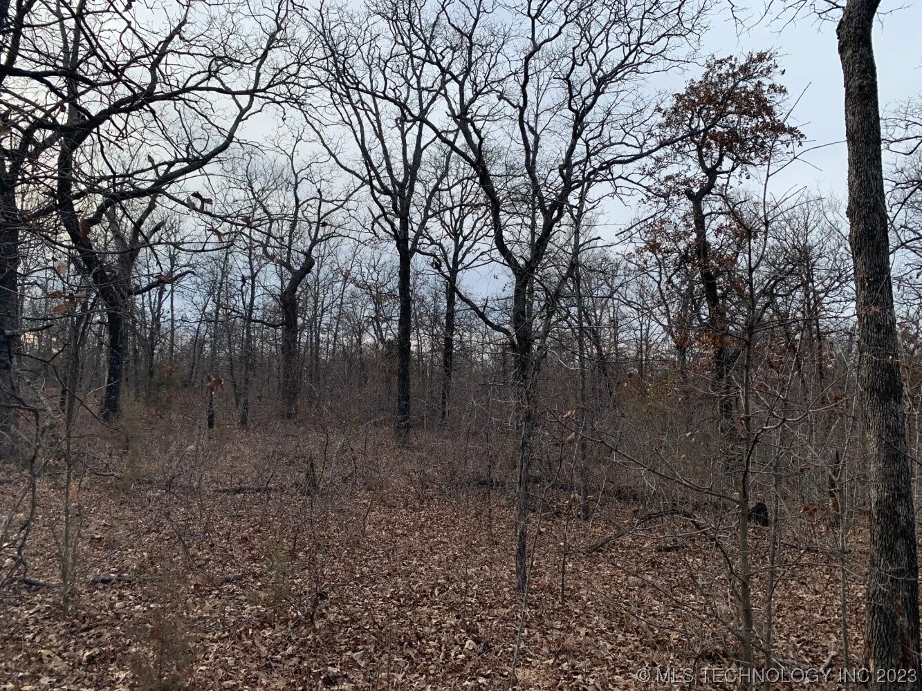 Photo 8 of 24 of 0003 W 281st Street S land