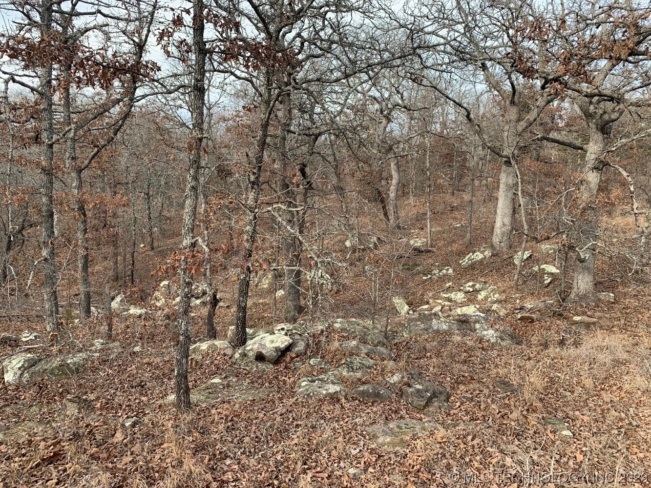 Photo 13 of 24 of 0003 W 281st Street S land