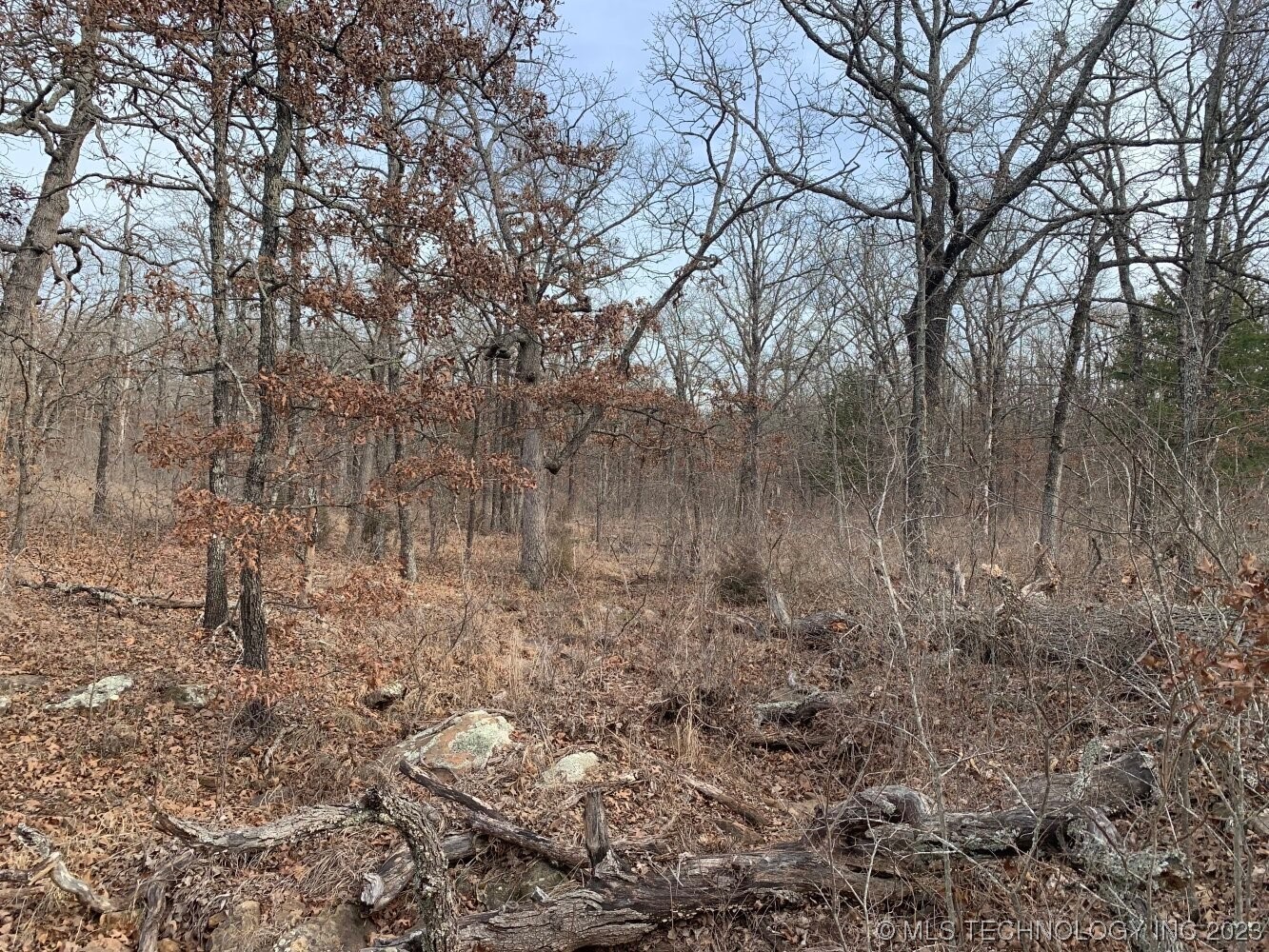Photo 12 of 24 of 0003 W 281st Street S land
