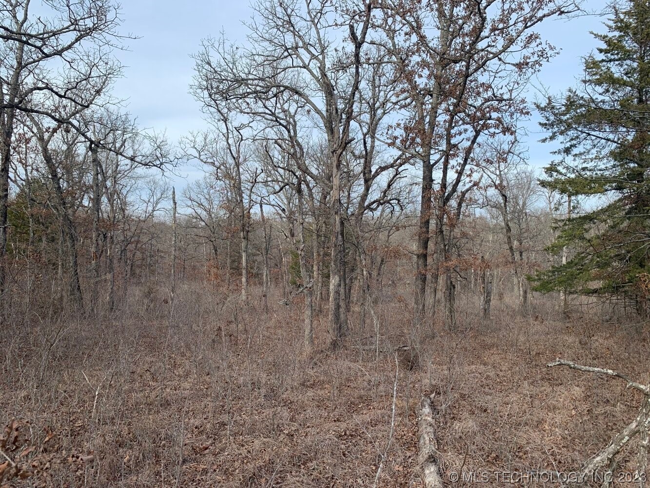 Photo 9 of 24 of 0003 W 281st Street S land