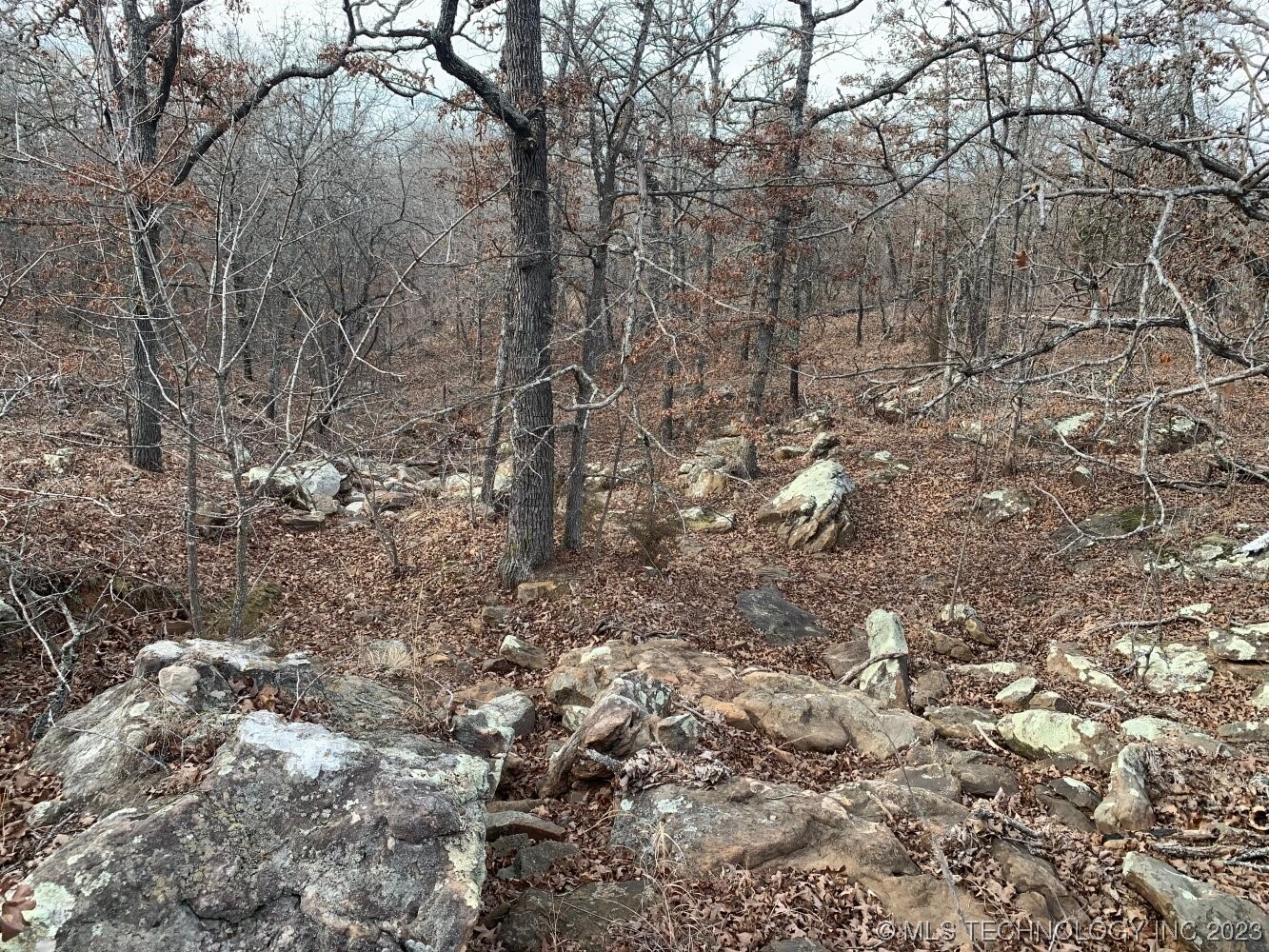 Photo 11 of 24 of 0003 W 281st Street S land