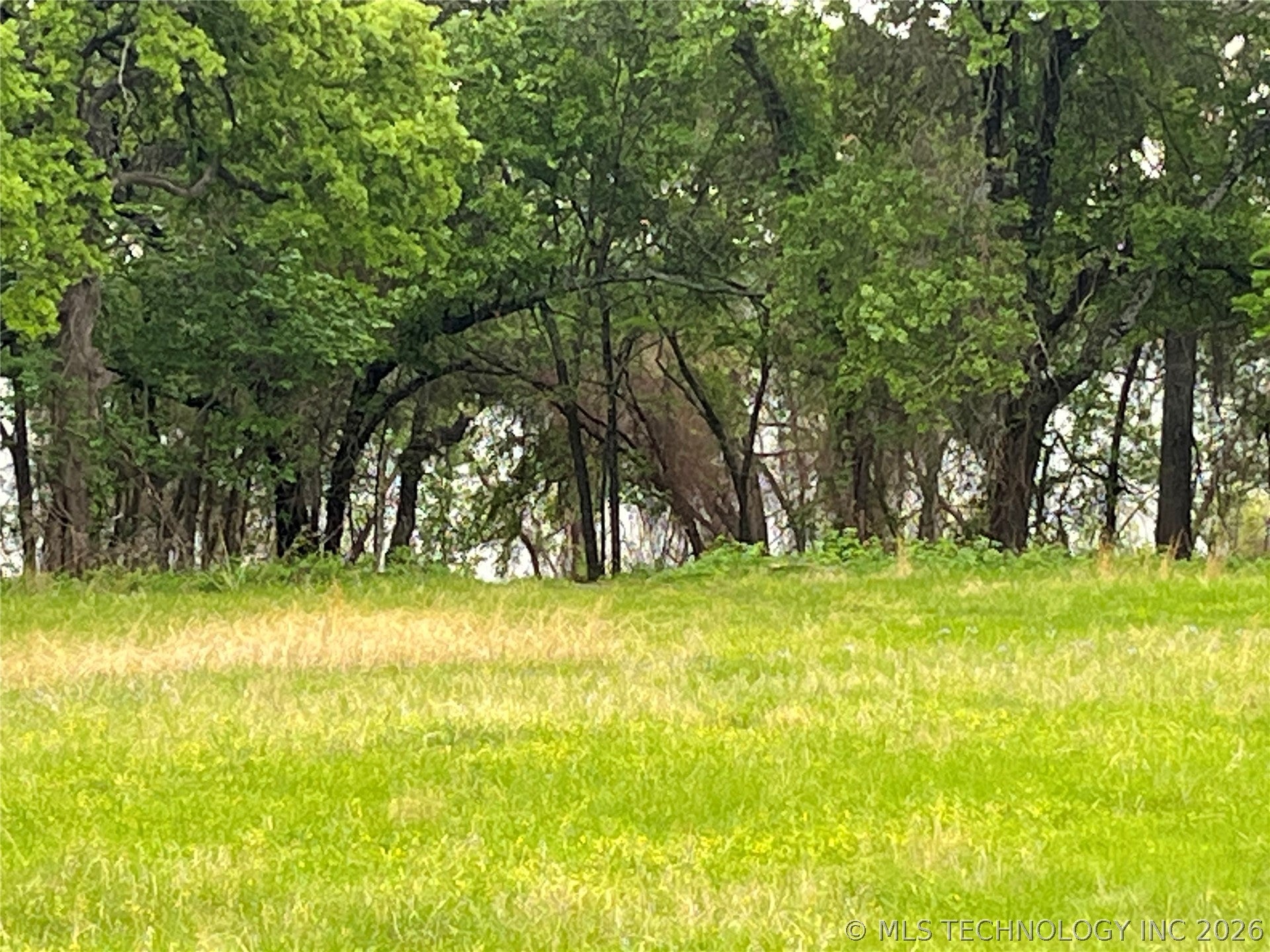 35 Scenic View Road