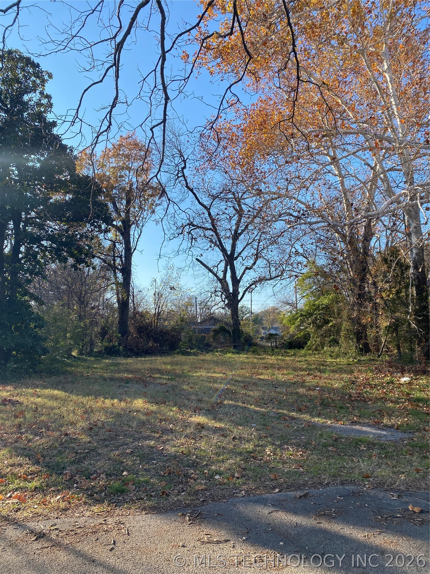 Westward view