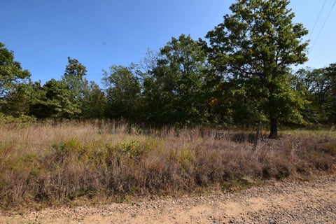 Photo of 98755 S 4683 Road, Sallisaw, OK 74955 (MLS # 2634121)