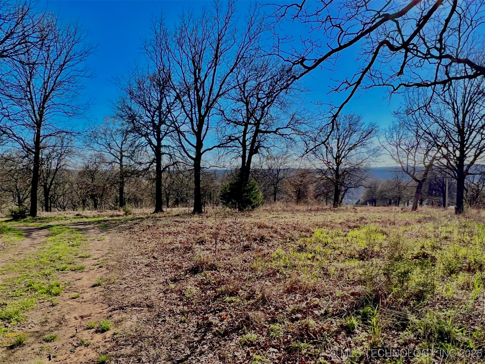 Wilderness Road