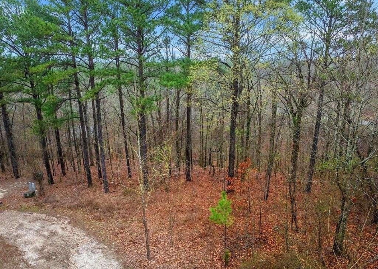 217 Hochapine Trail