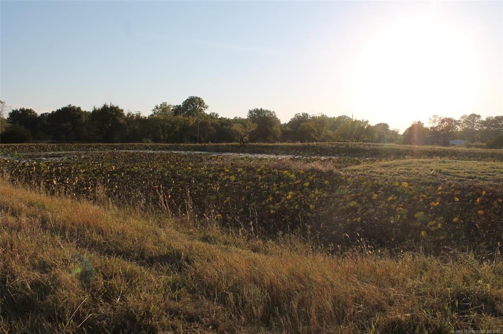 Photo 6 of 19 of Choate Prairie land