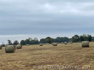 Photo 14 of 19 of Choate Prairie land