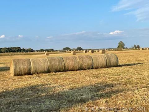 Photo 13 of 19 of Choate Prairie land