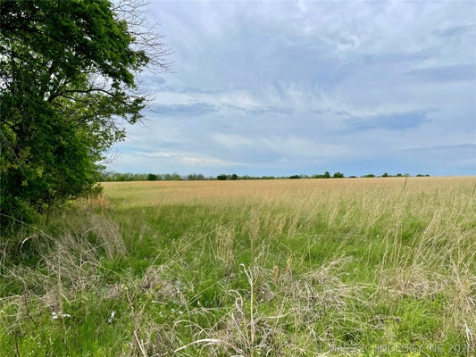 N 4030TH RD, TALALA, OK 74080 - Image 4bd12a2b052fec9dc0873b25aad58d7e/1244335643