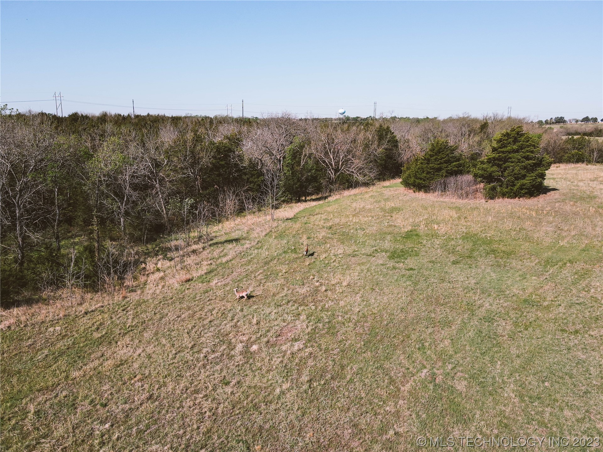 Photo 4 of 5 of 0 E Burris Road land
