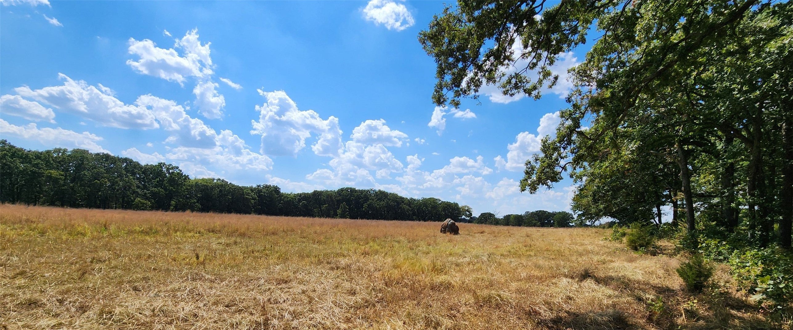 Arnett Road