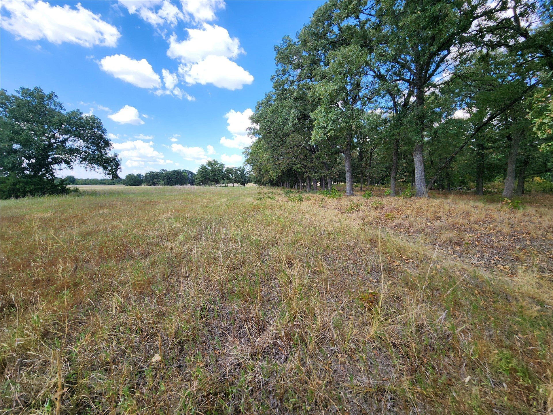 Arnett Road