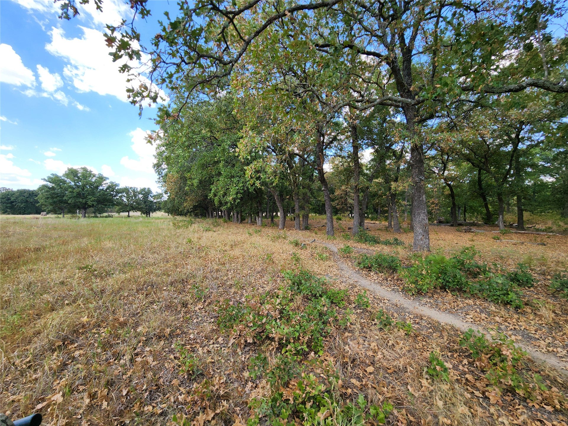Arnett Road