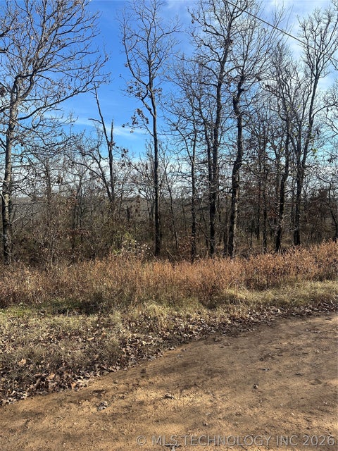 Photo of S 4557 Road, Vian, OK 74962 (MLS # 2623555)