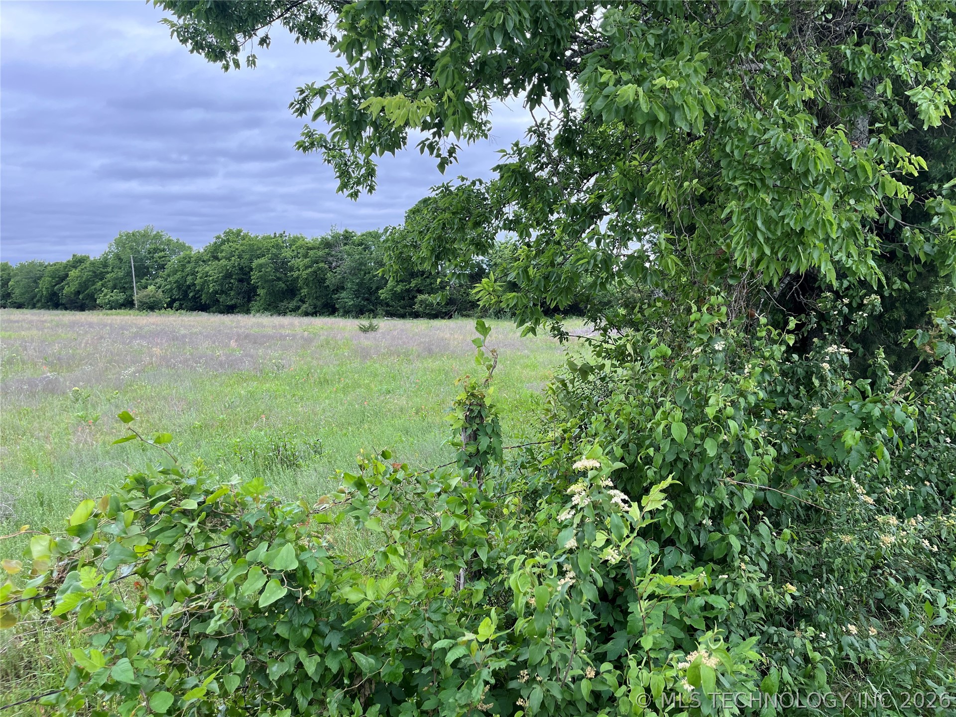 Crow Road