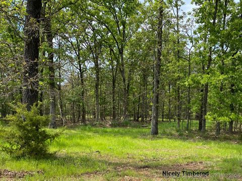 Photo of 718 Ridgeview Drive, Tahlequah, OK 74464 (MLS # 2543699)