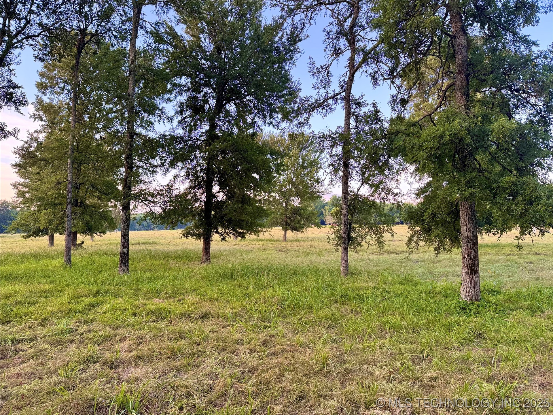 Deer Run