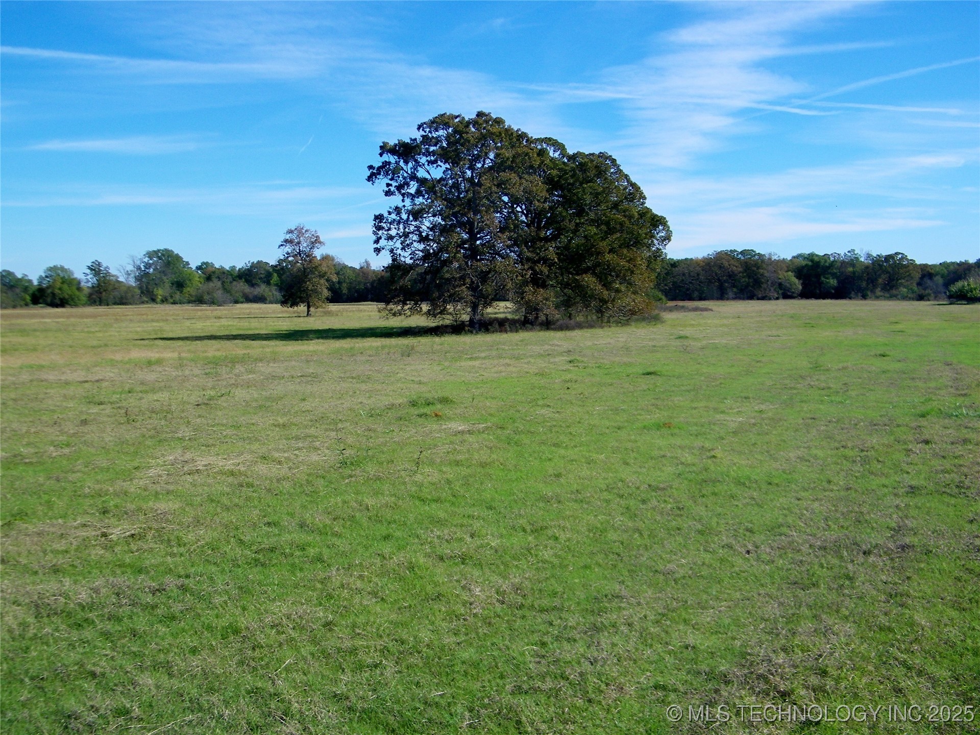 4 Fossil Ridge