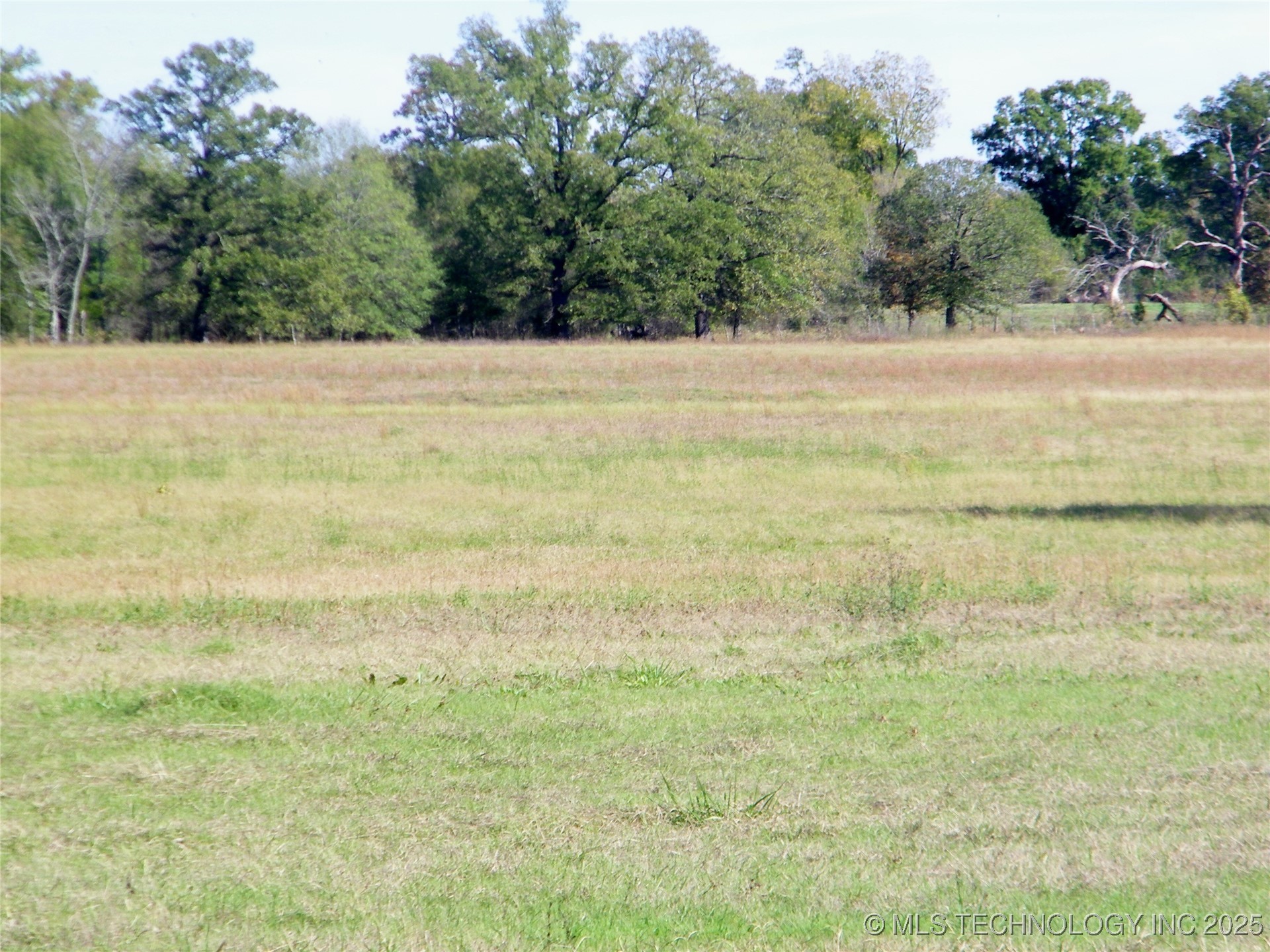 4 Fossil Ridge