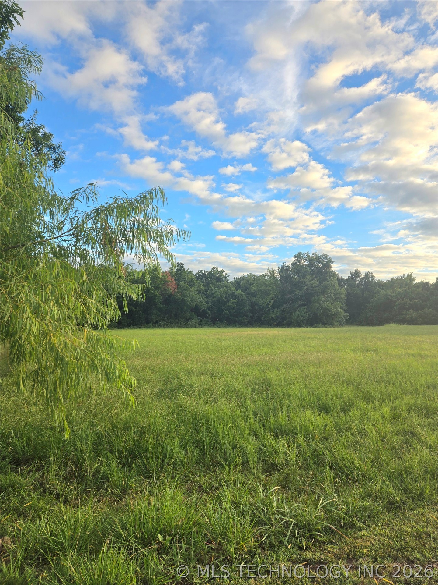 Photo 1 of 4 — Peach, Locust Grove, OK 74352