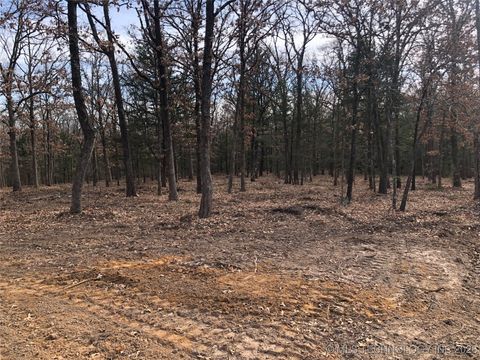 Palomino Lane Kingston OK 73439