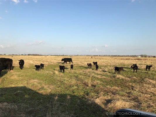 ADDRESS PRIVATE, FAIRLAND, OK 74343 - Image 60a00a884a684bcf26a5b3f4705f968e/2045507917