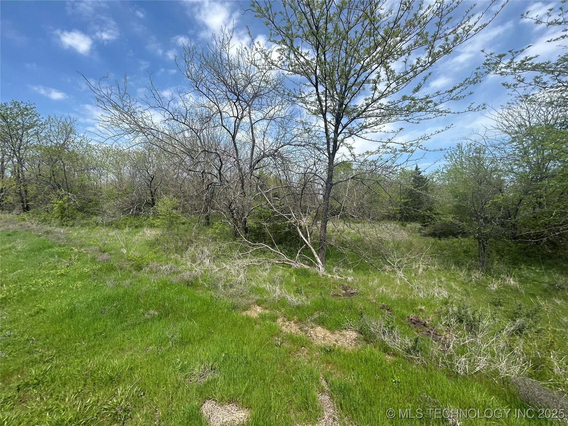 16206 Briar Creek