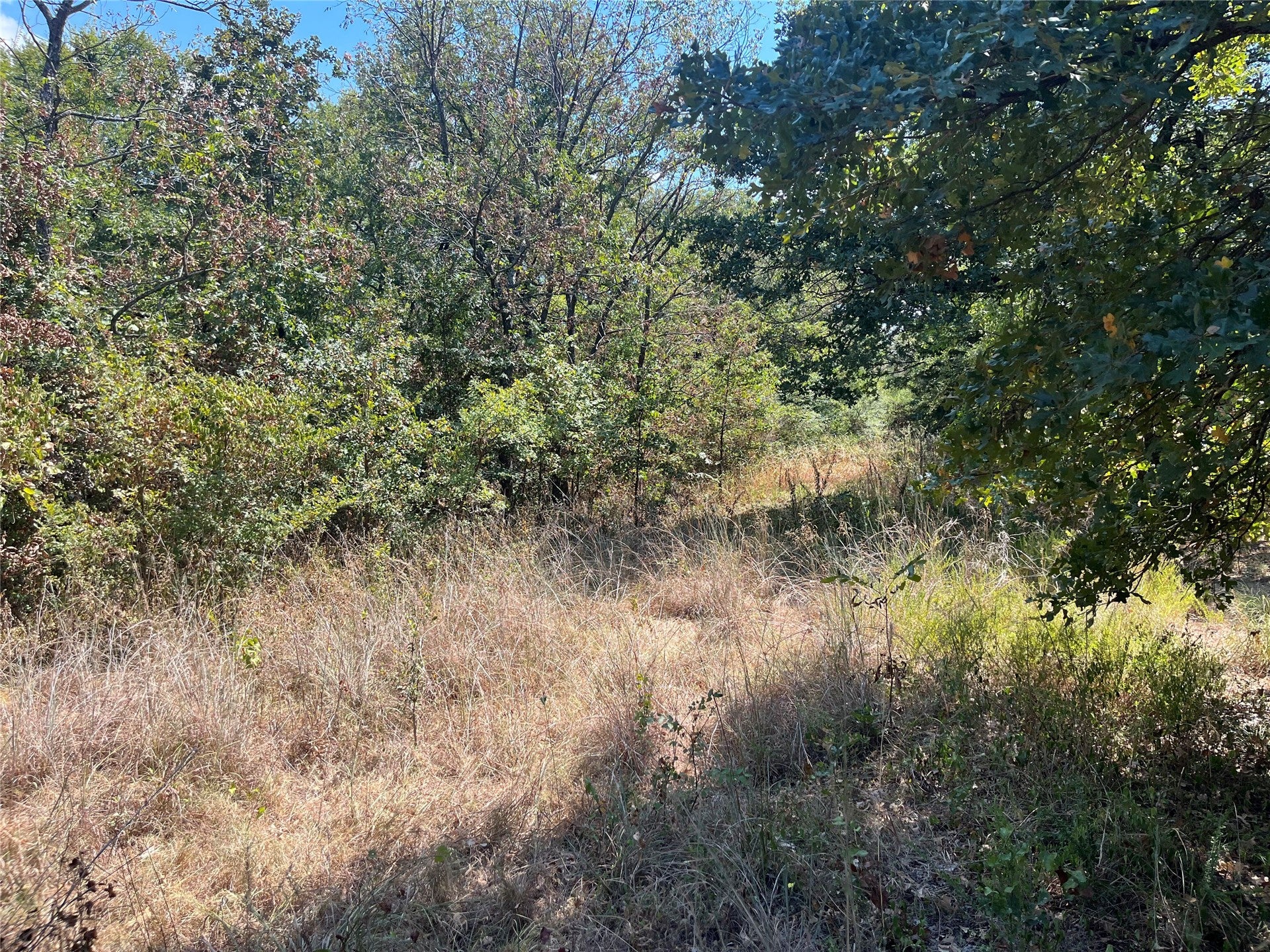 Kickapoo Avenue