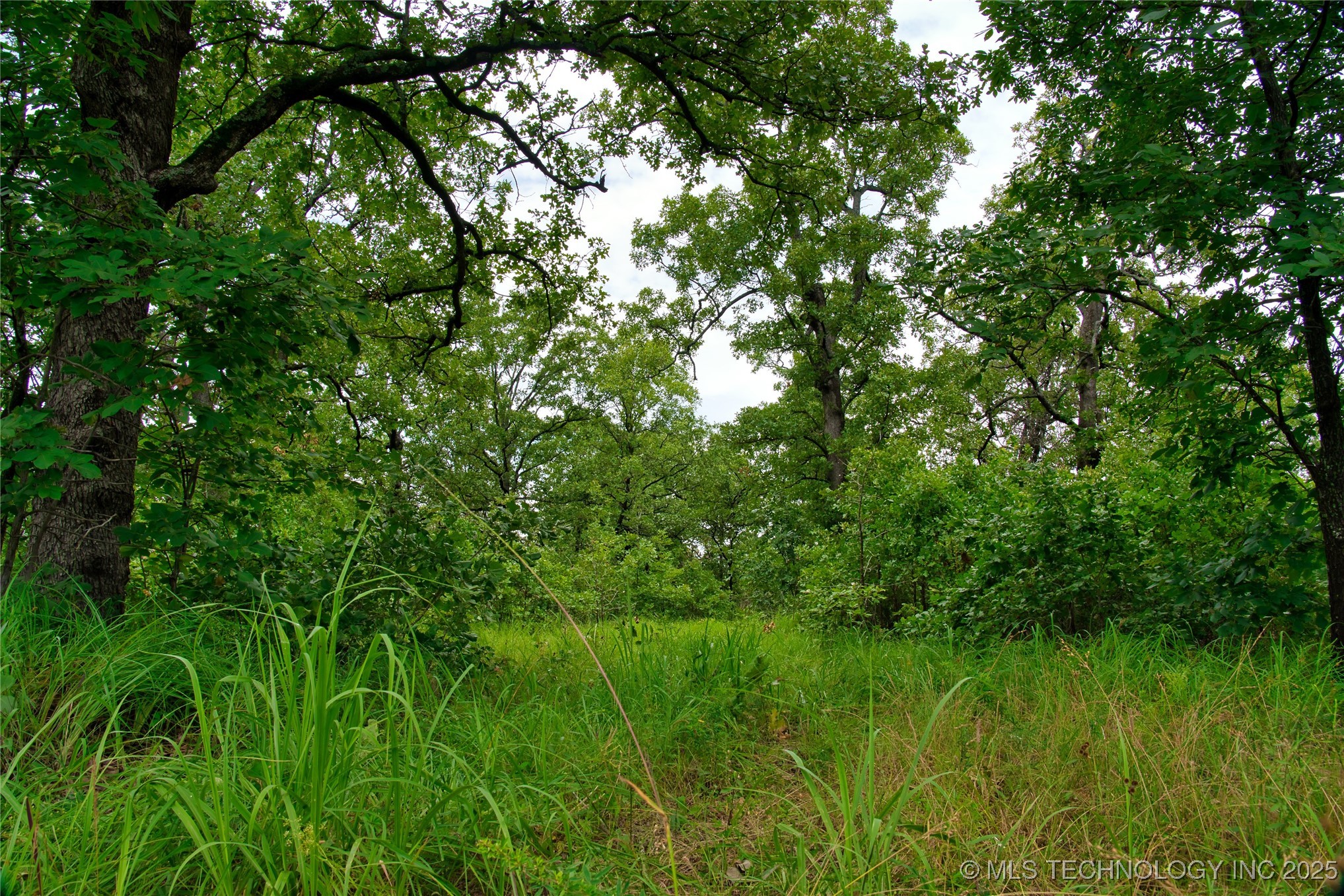 Lott Bottom Road