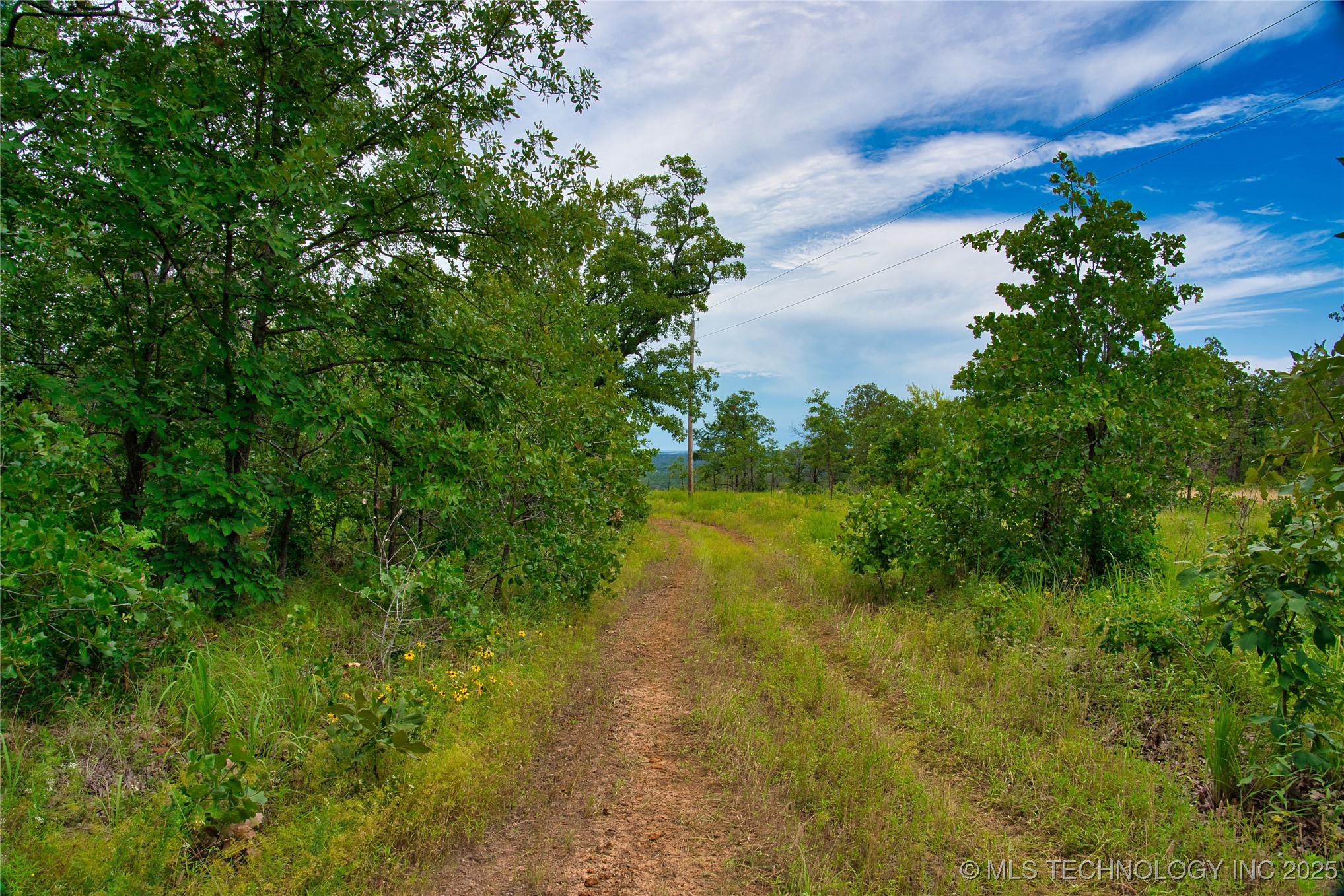 Lott Bottom Road