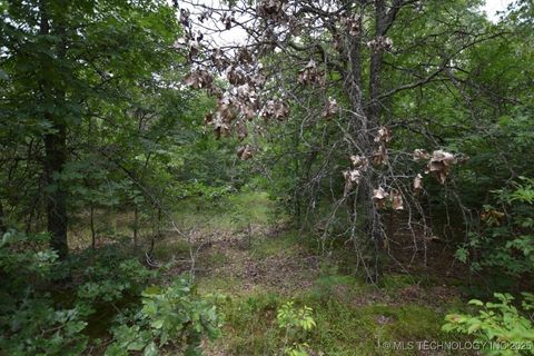 Photo of 4 Darcy Drive, Vian, OK 74962 (MLS # 2523913)