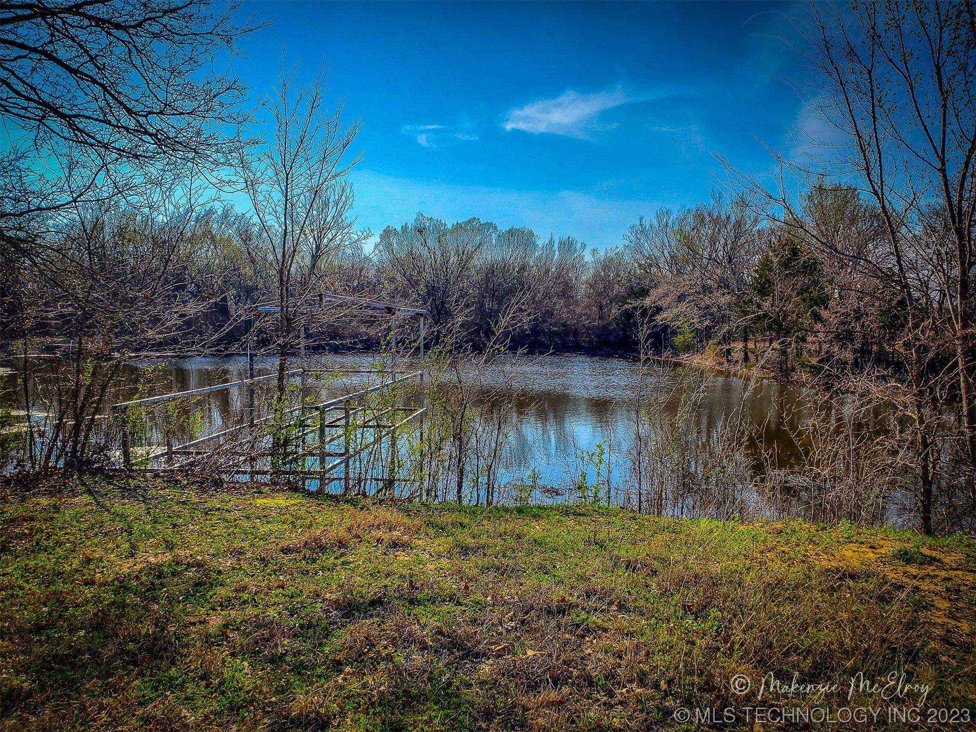 Photo 4 of 8 of 138 Tanglewood land
