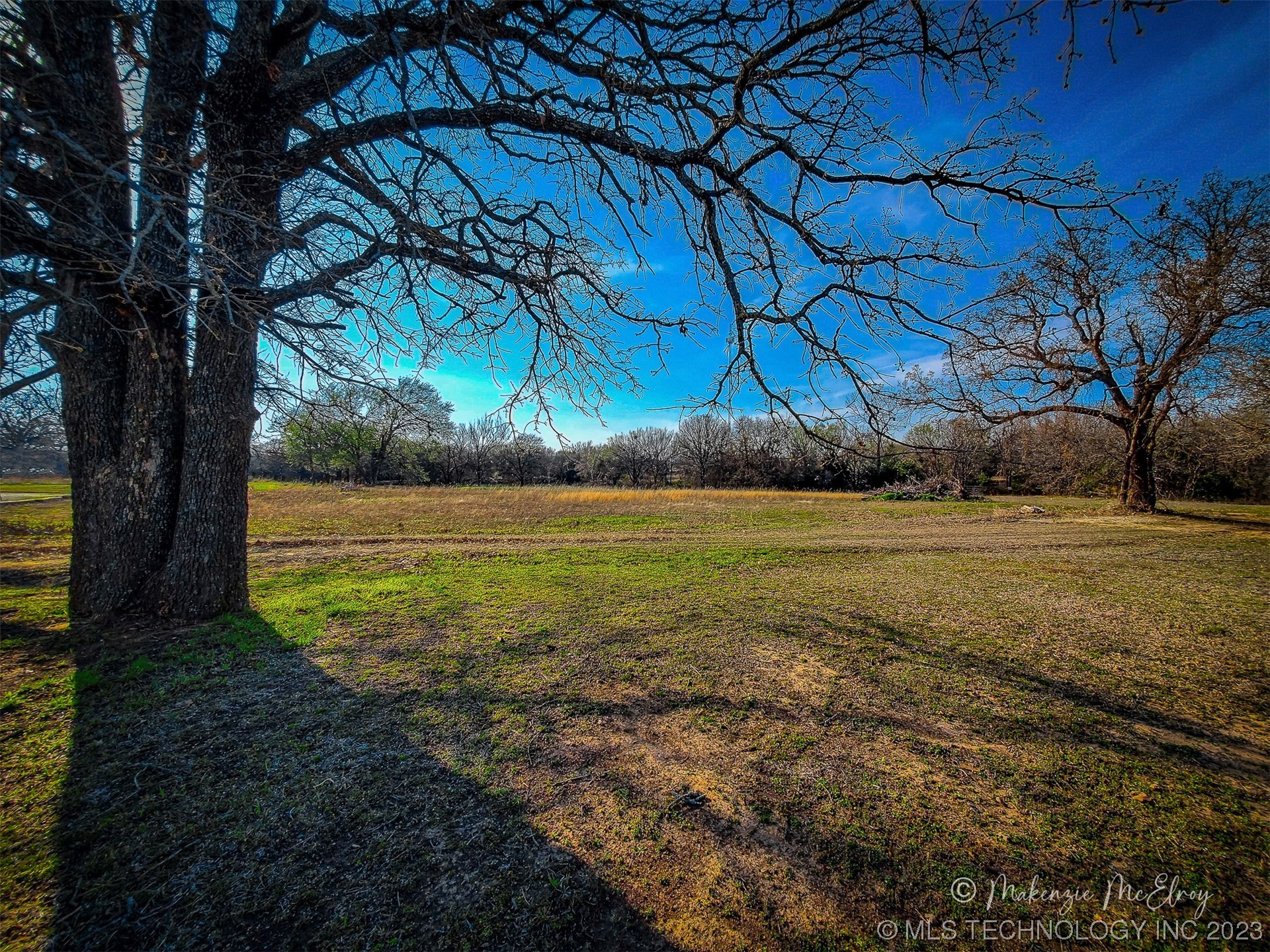 Photo 3 of 8 of 138 Tanglewood land