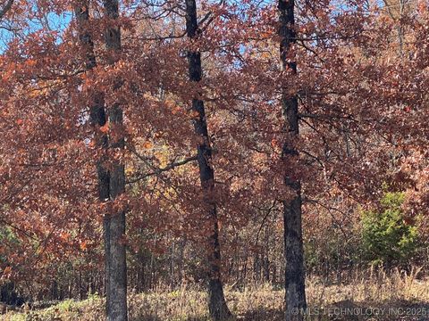 Photo of 704 Woodlands Drive, Tahlequah, OK 74464 (MLS # 2547643)