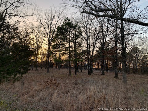 Photo 1 of 5 of 15185 N 593 Road land