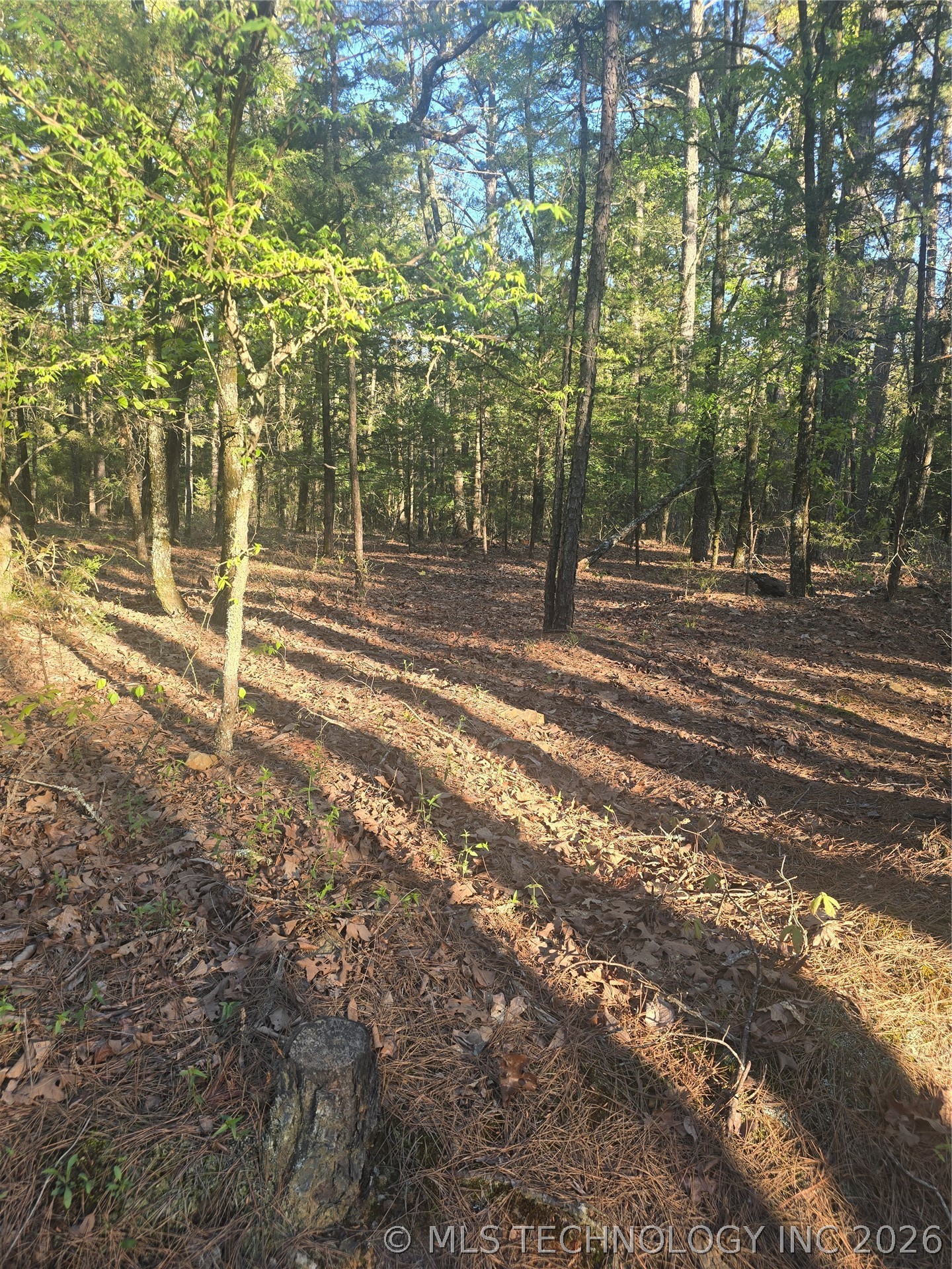 43 Buck Creek