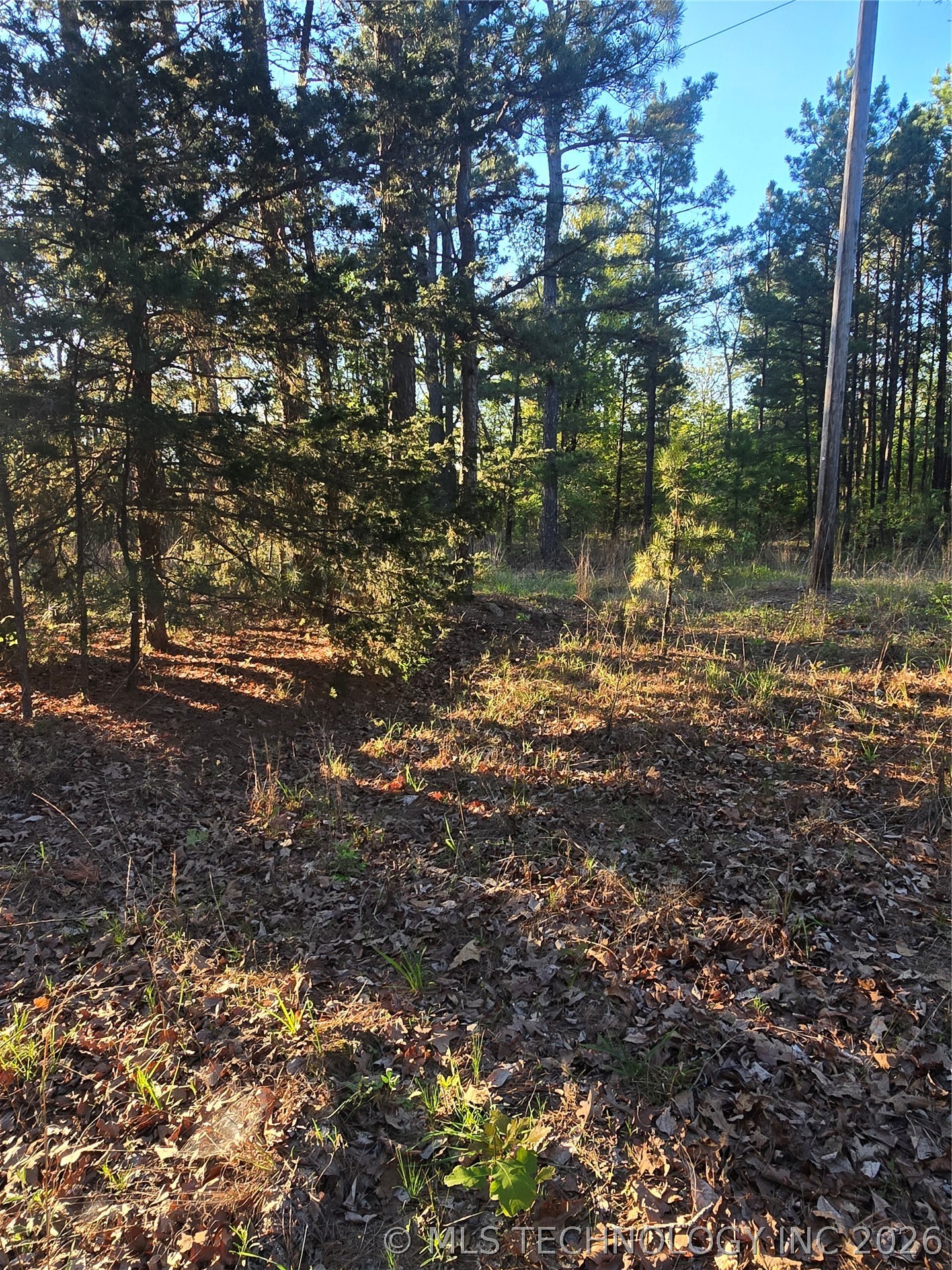 43 Buck Creek