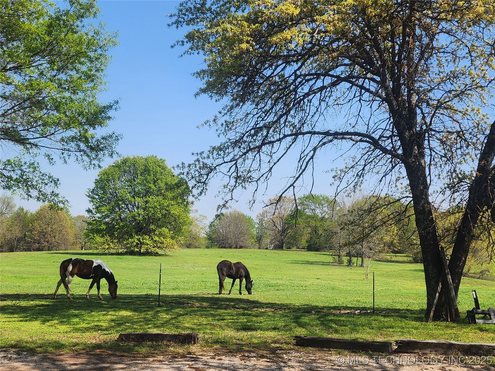 529 Sawbriar