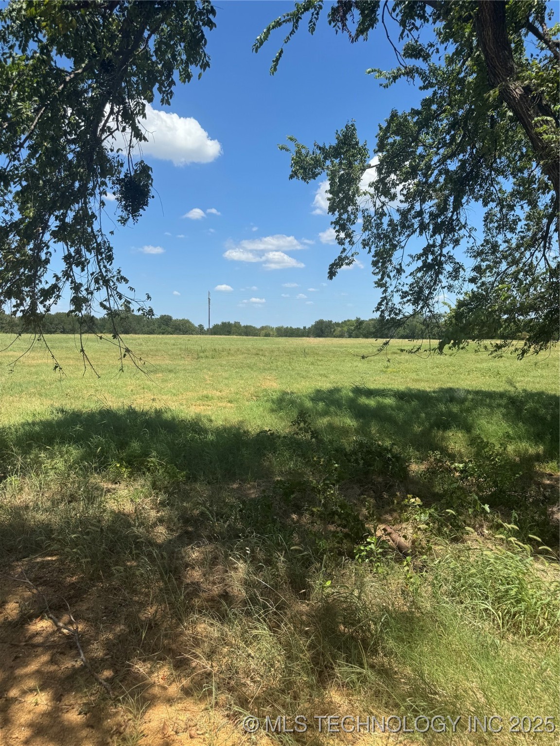 20253 Bales Road