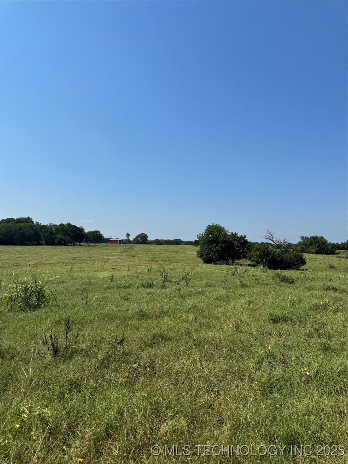 20253 Bales Road