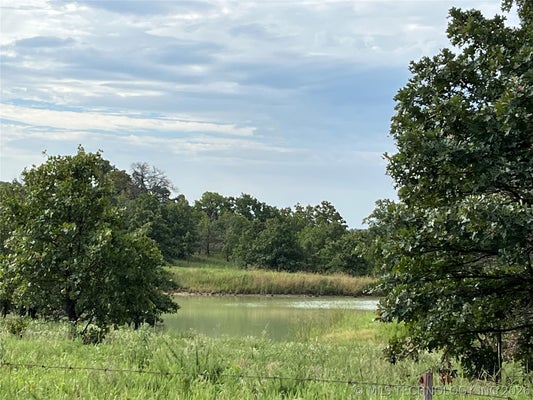 2822 LOTT BOTTOM RD, MCALESTER, OK 74501 - Image 7b0974bf3b12dbcb3e8b1fb47e90fa7e/3466148225