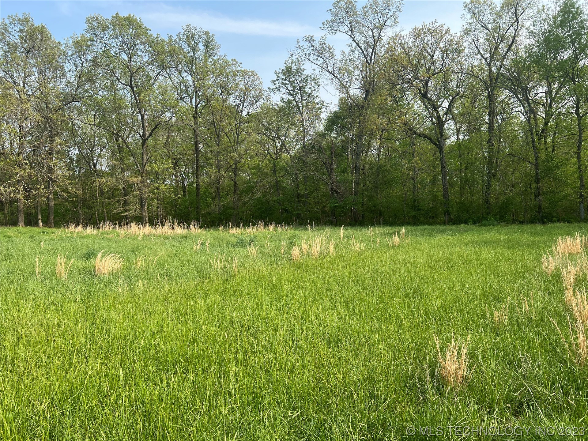 Photo 1 of 2 of 21730 Highway 51 land